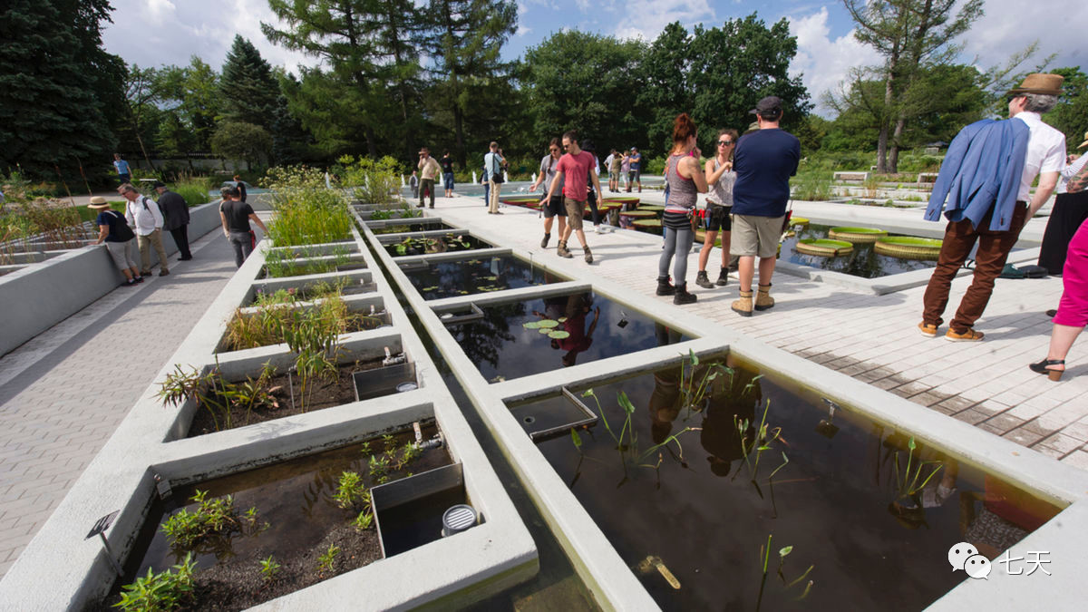 Image result for Parcours des phytotechnologies du Jardin botanique d