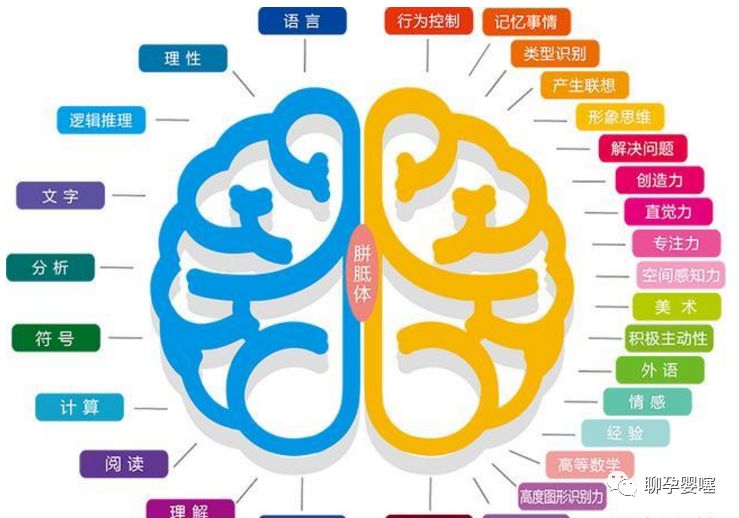 右脑发达的孩子, 多有这3种特征, 将来很可能成为“学霸”
