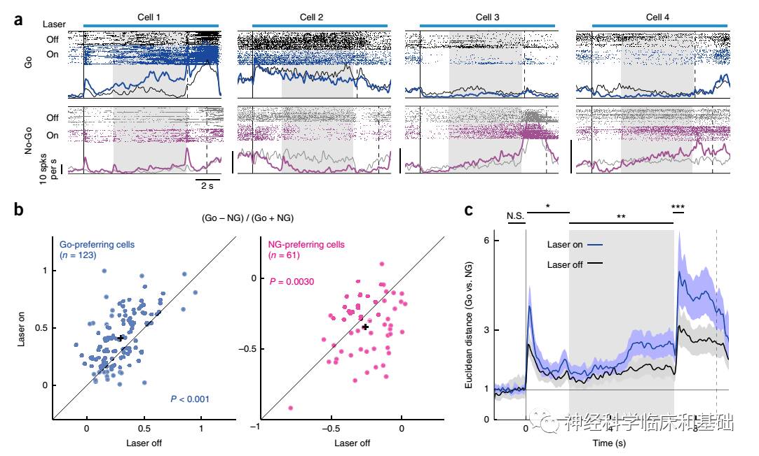 科学网—Nature neurosci—前额叶中间能神经元调控记忆导向行为 - 陈之春的博文