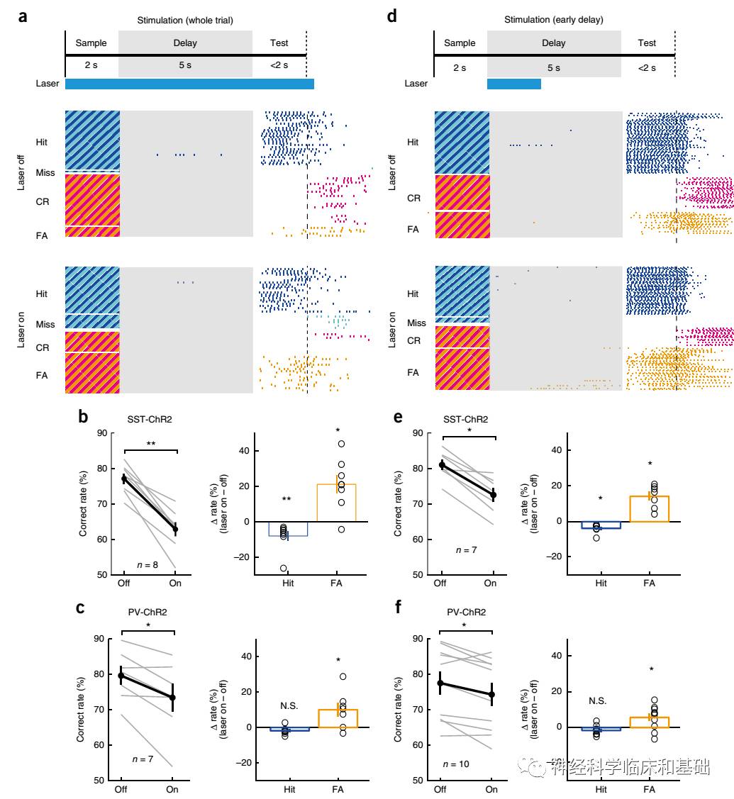 科学网—Nature neurosci—前额叶中间能神经元调控记忆导向行为 - 陈之春的博文