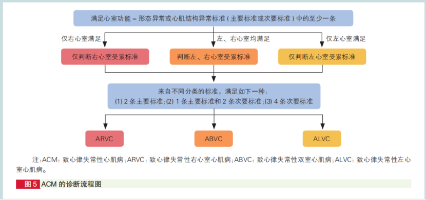 心肌病防治步入精准化、规范化、全程化管理，中国首部心肌病综合管理指南发布