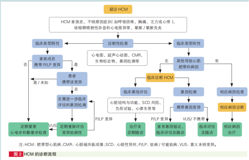 心肌病防治步入精准化、规范化、全程化管理，中国首部心肌病综合管理指南发布
