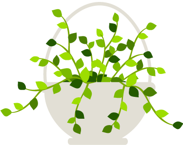 千万不要错过孩子体质发展敏感期！