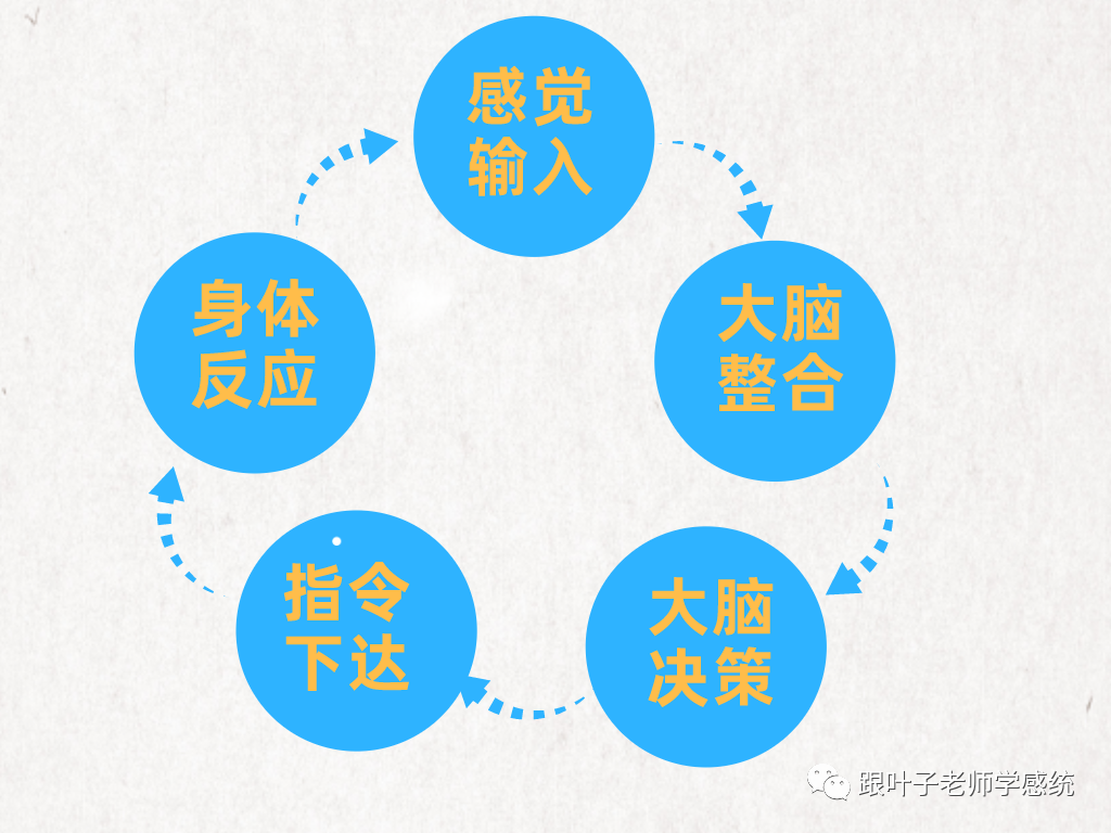 大脑不接受感官刺激，是无法健全成长的