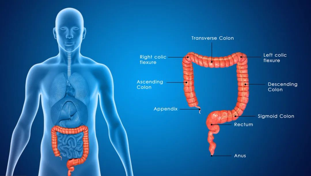 57岁阿姨，肠癌晚期，医生：身体出现四种异常，不能再拖延了