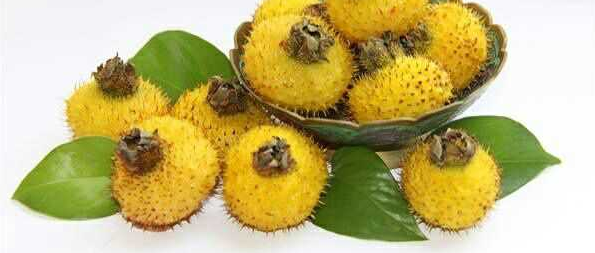 别看它不起眼，却是尼古丁的“天敌”，每天喝一点，排烟毒更养肺