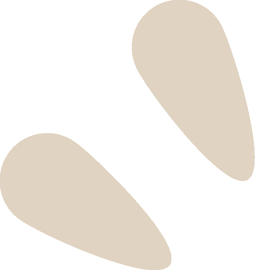 微信图片_2026-06-22_162238_175.png