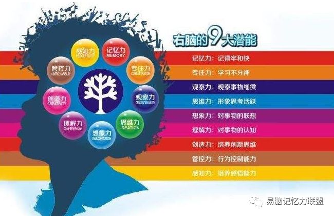 你必须了解的：右脑的记忆性质