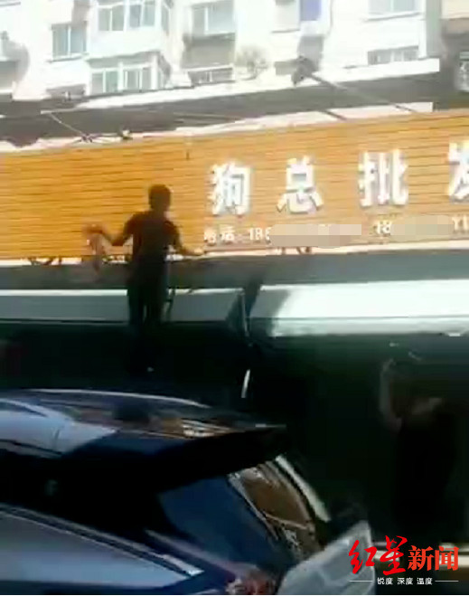 沈阳男女暴力抓狗被揭秘后，四家狗肉店相继关门…