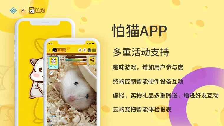 直播小程序定制化解决方案
