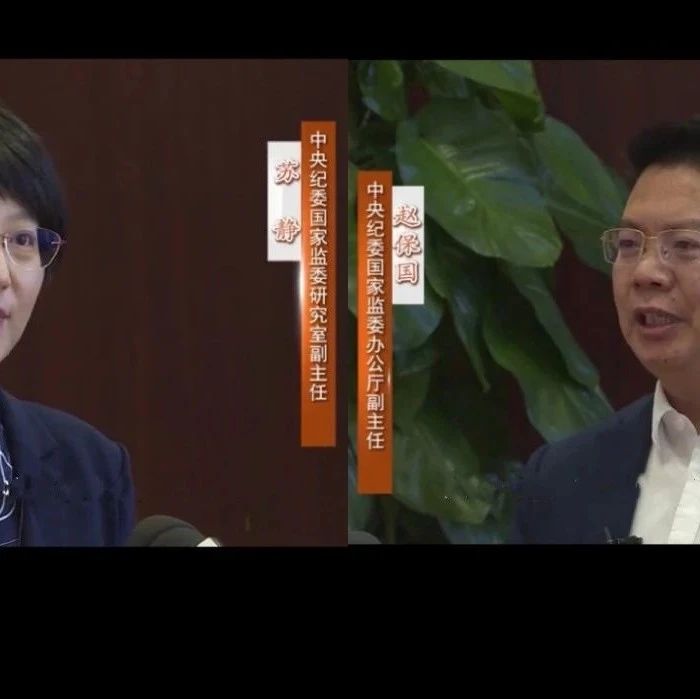高质量发展在线访谈丨强化政治监督 做到"两个维护"