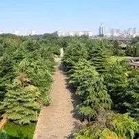 注意！濮阳这两个景区发布疫情防控最新公告！