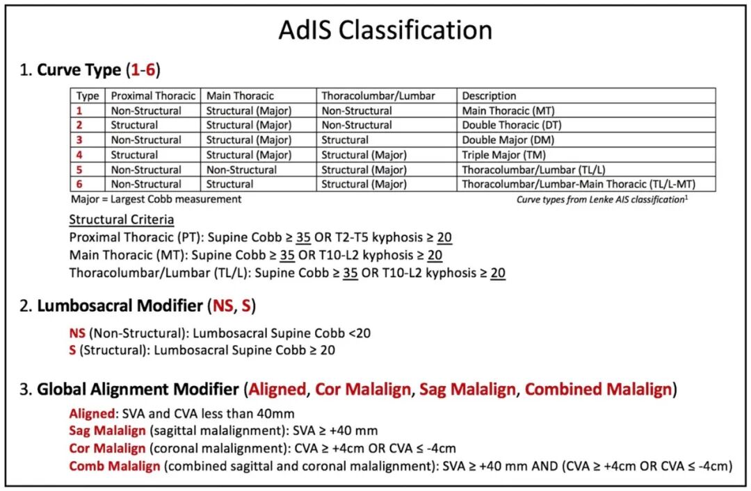 重磅学术动态：成人胸腰椎脊柱畸形手术固定节段的选择：JBJS