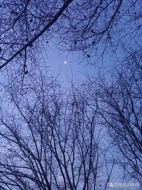 气温一夜“跳水” 纽康新三州地区本周迎数日严寒