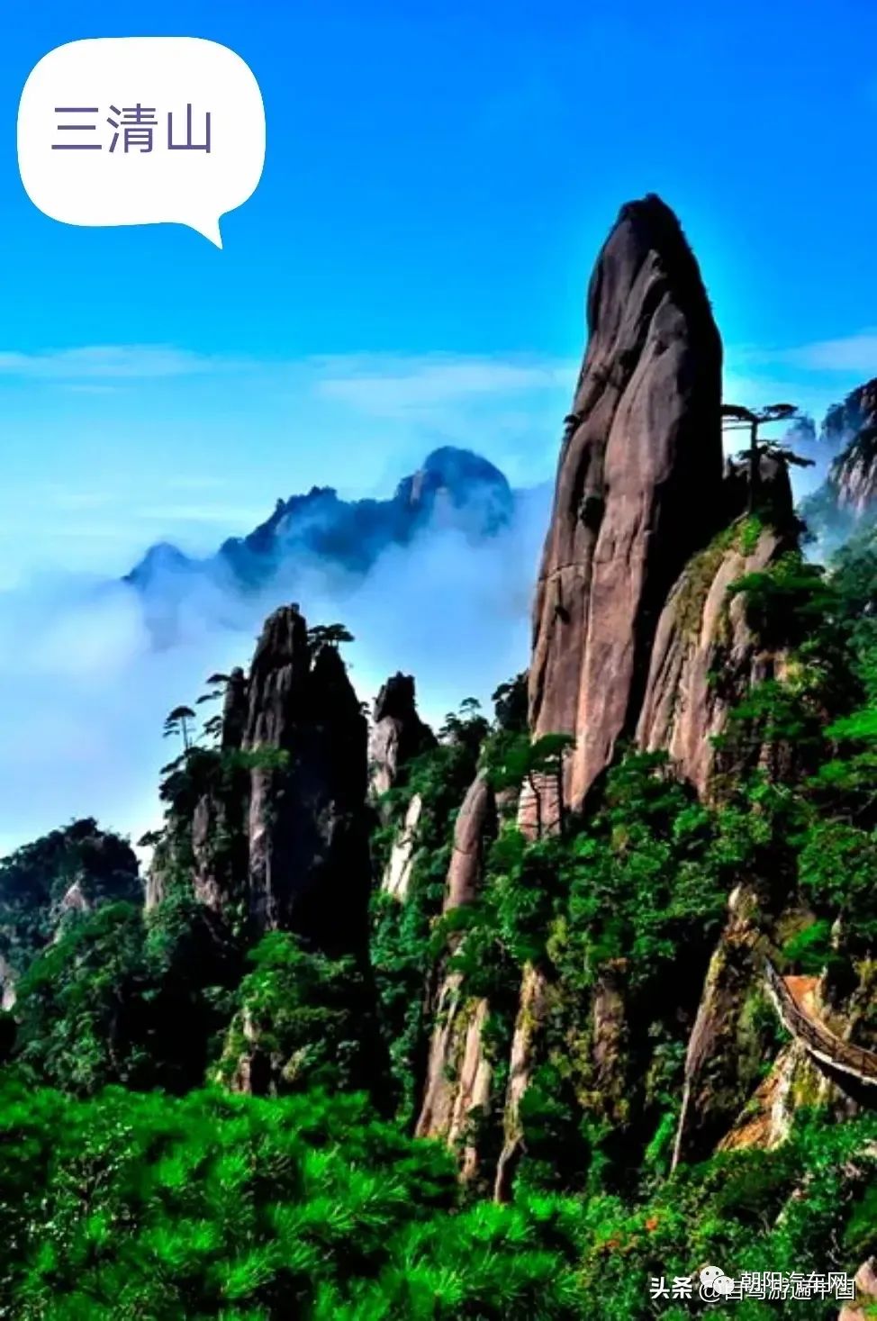 海口到阳江多少公里