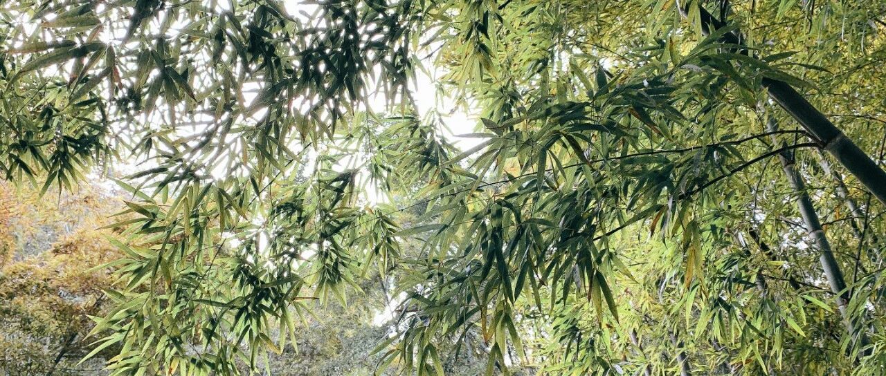 苏轼推荐打卡地千古一绝