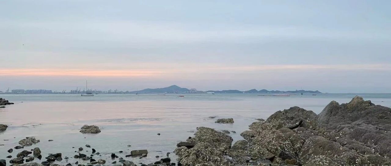 2021.5月书影小结