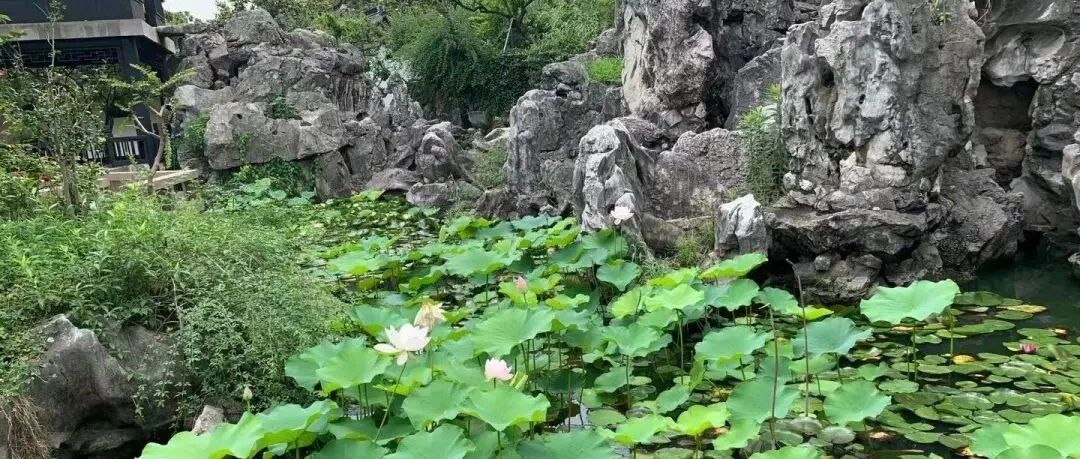 杂记｜木渎古镇，漫步时光