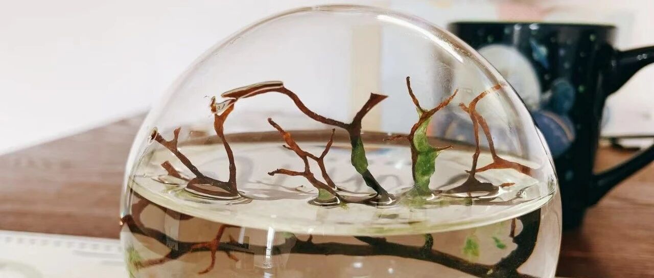 杂记：人与物