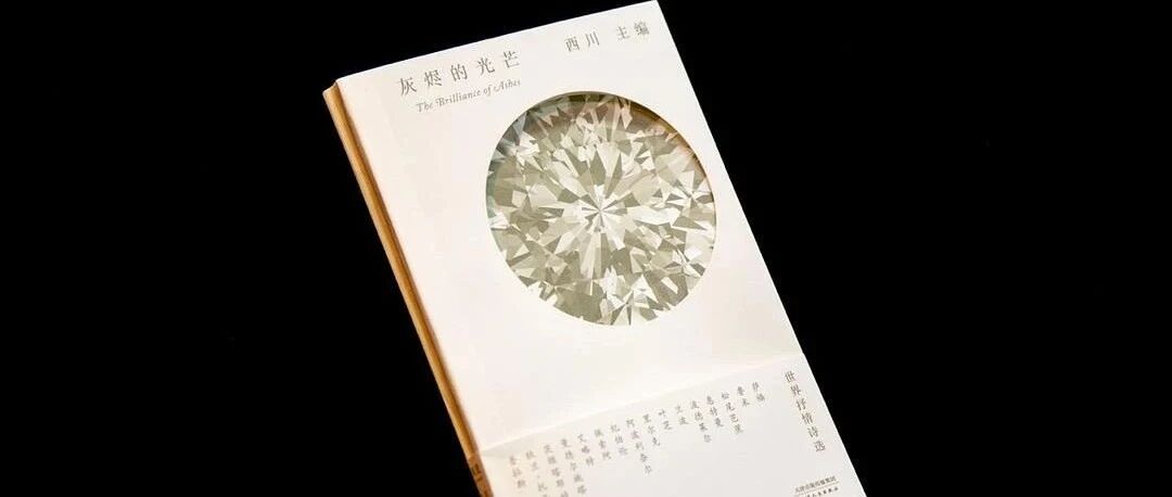读书 | 《灰烬的光芒》