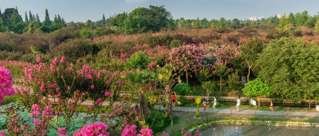 植树造林与景观打造相衔接，着力夯实公园城市生态基底！今天，2021年成都市温江区党政军领导义务植树活动举行