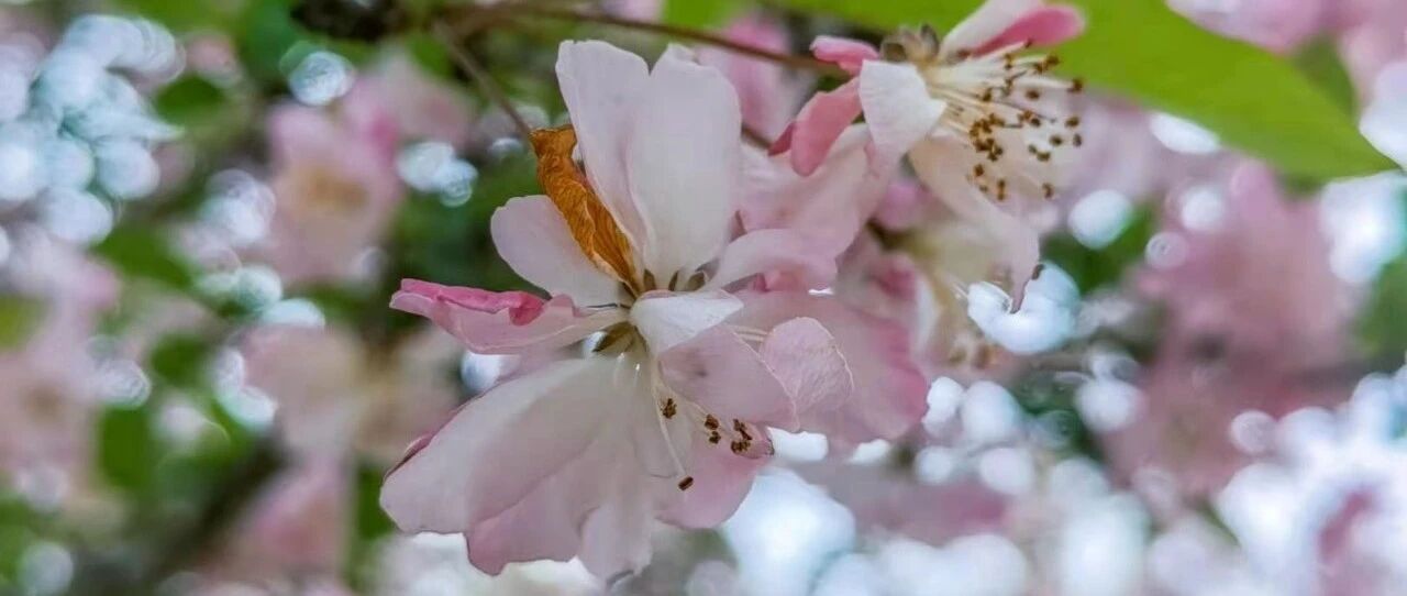 他（她） 就在你身边！