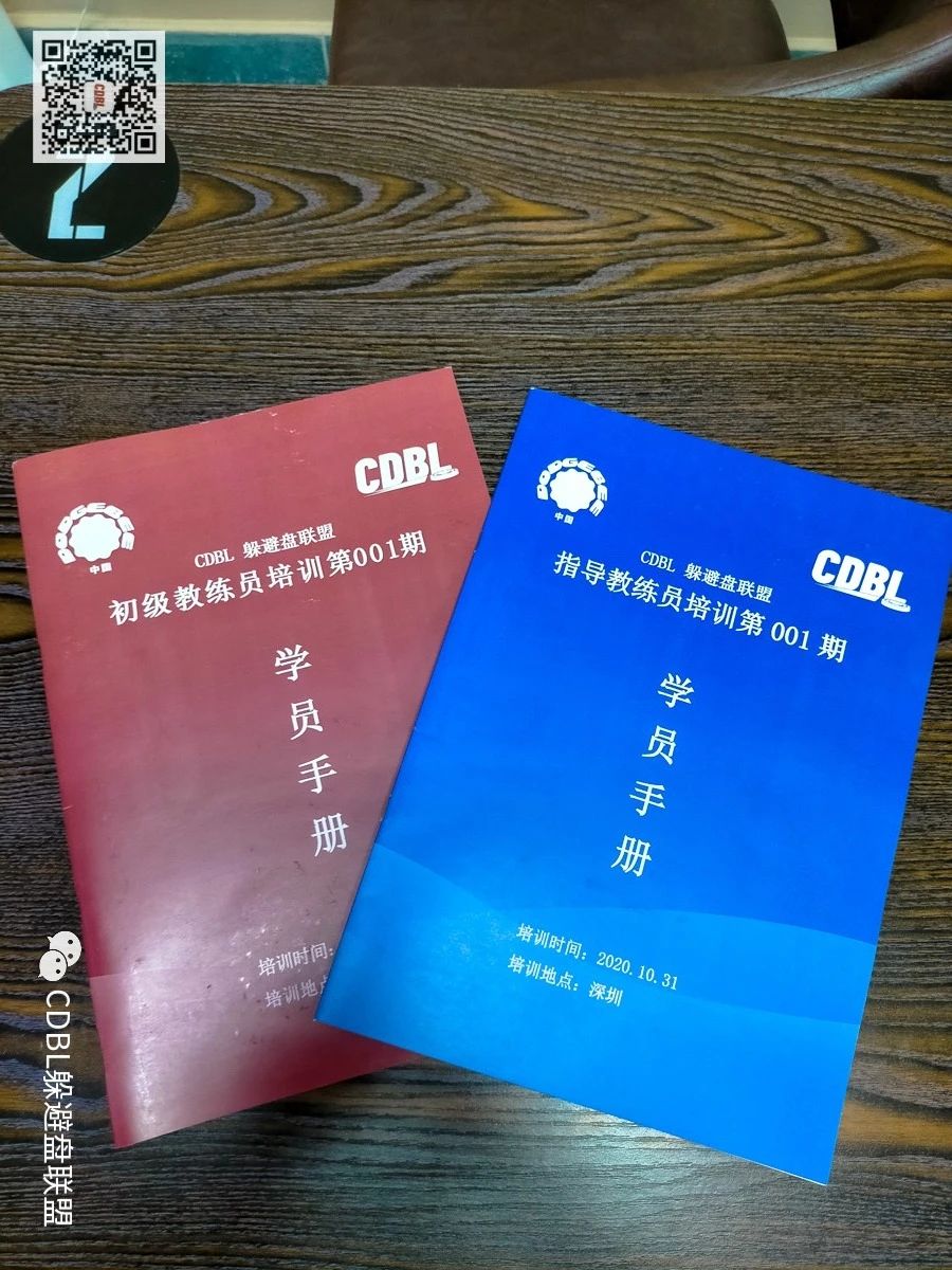 《北海站开启报名！CDBL躲避盘联盟第五期教练员培训》