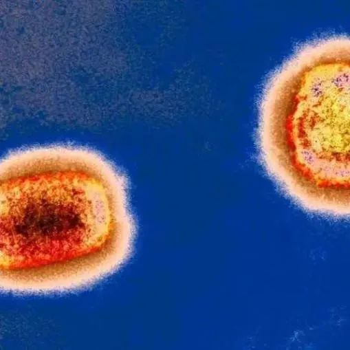 世卫组织：猴痘病毒已发生人际传播！猴痘会成为下一个“天花”吗？