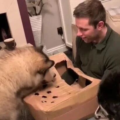 担心“胖儿子”无聊，主人做了个道具，没想到却悲剧了