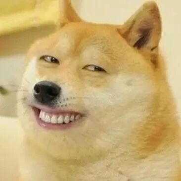 狗子会笑吗？答案可能和你想得不太一样…