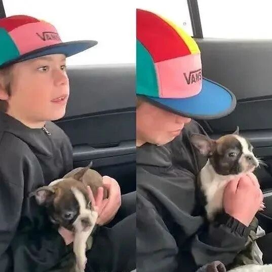 从小不许养狗，男孩13岁生日梦想实现却痛哭“爸爸最后一份礼物”