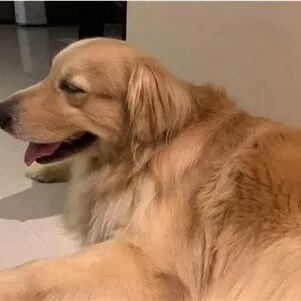 阿金堵在电梯门口不愿离开，几秒钟后真相