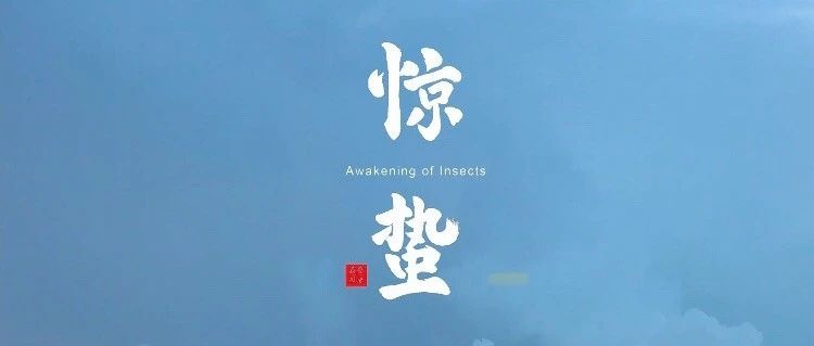 cover_image