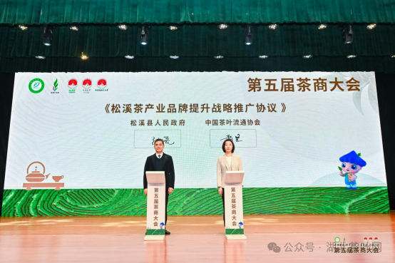 △中国茶叶流通协会与松溪县人民政府签订《松溪茶产业品牌提升战略推广协议》（“说茶”摄）