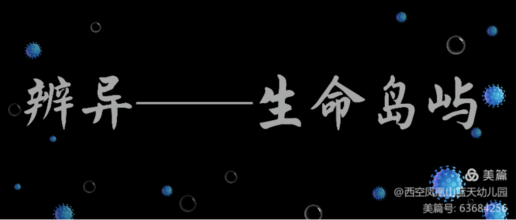 课程故事 | 嘿！我的老伙计——初探万物与病毒-幼师课件网