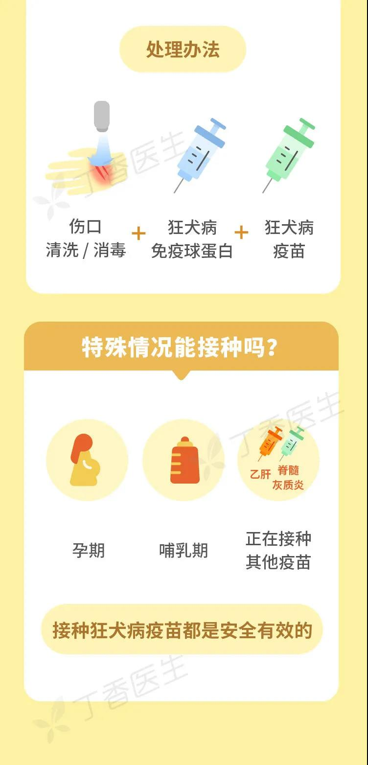 狂犬病|狗狗温暖了四季，狂犬病每9分钟致死1人，这个反差值得警惕