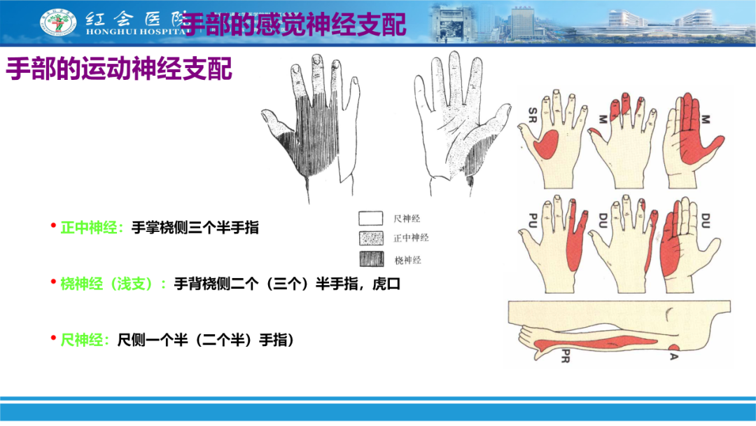 骨科实战：手外伤急诊处理原则精要