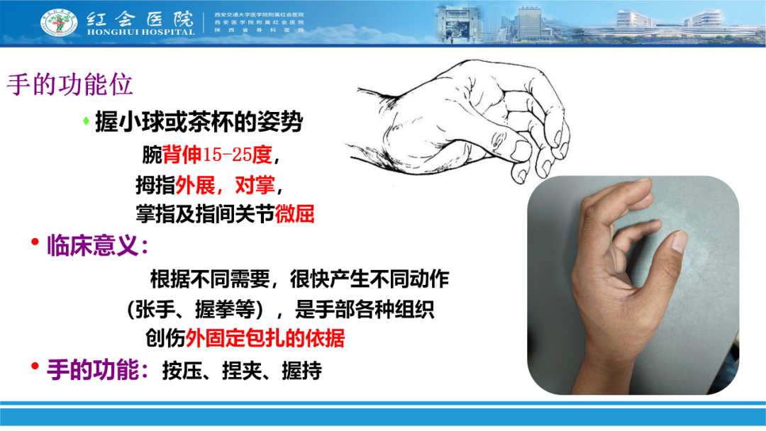 骨科实战：手外伤急诊处理原则精要