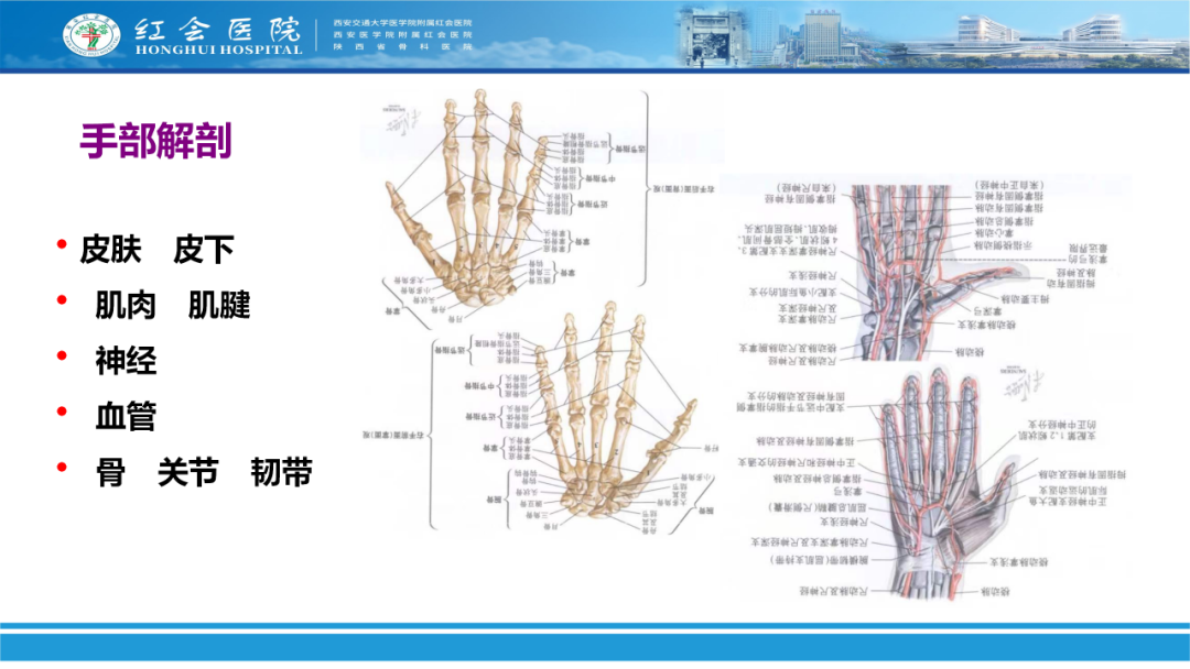 骨科实战：手外伤急诊处理原则精要