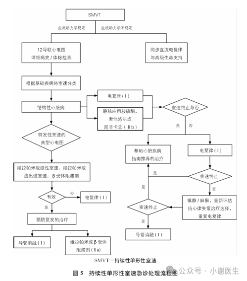 室性心律失常急诊处理不要慌，这份指南收藏备用！