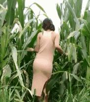 “文明点！无毛之女，玉米地、高粱地、芦苇地