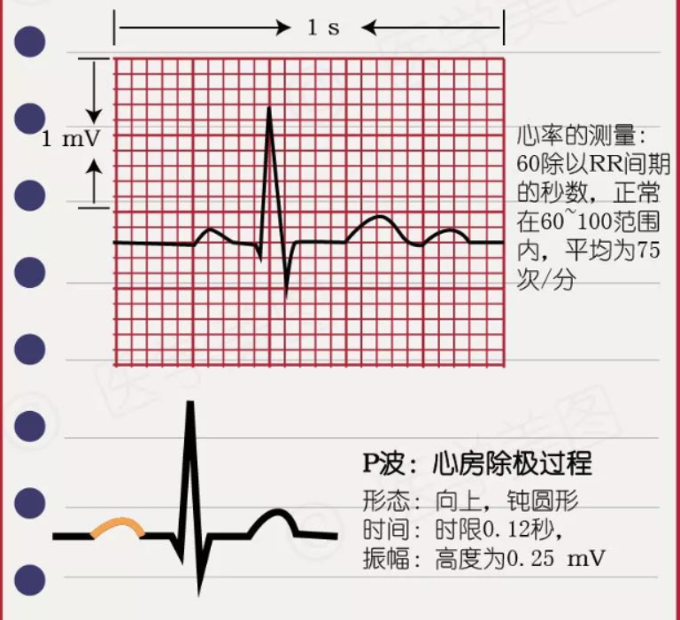 常见心律失常的急诊处理（心血管医生值班必备）