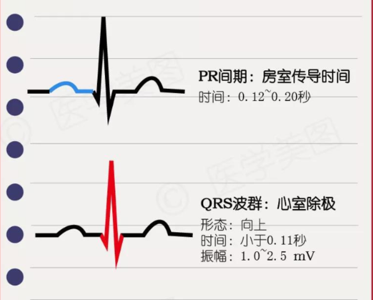 常见心律失常的急诊处理（心血管医生值班必备）