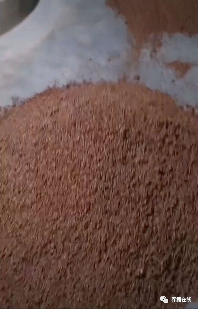 猪吃甲硝唑后，食用酒糟中毒，该如何解毒？