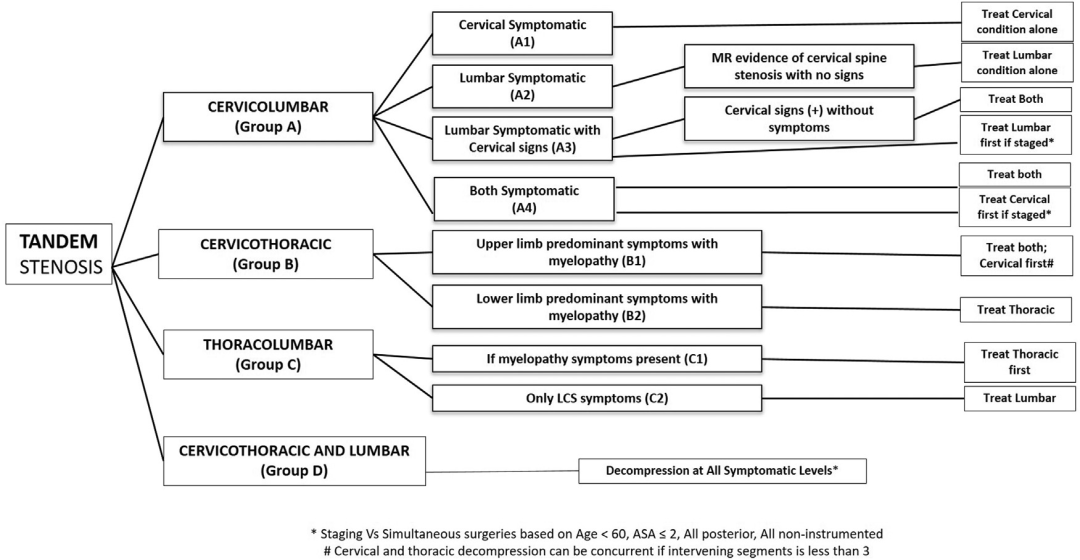 【文献精读】串联型椎管狭窄症的分型和治疗策略